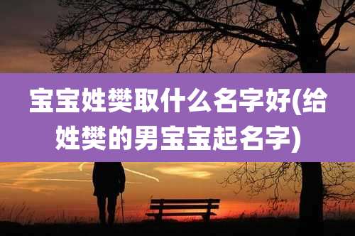 宝宝姓樊取什么名字好(给姓樊的男宝宝起名字)