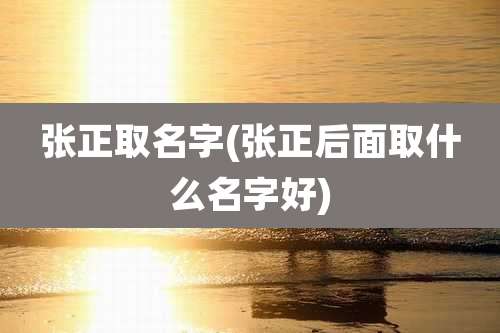 张正取名字(张正后面取什么名字好)