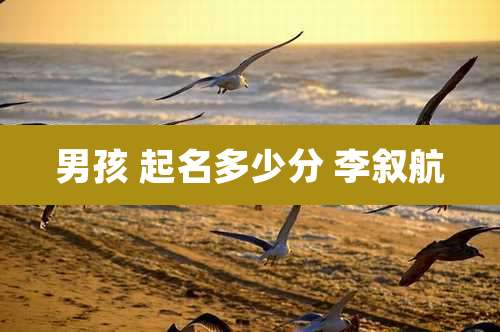男孩 起名多少分 李叙航