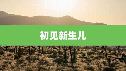 初见新生儿