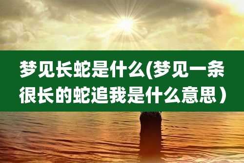 梦见长蛇是什么(梦见一条很长的蛇追我是什么意思）