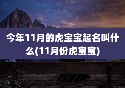 今年11月的虎宝宝起名叫什么(11月份虎宝宝)