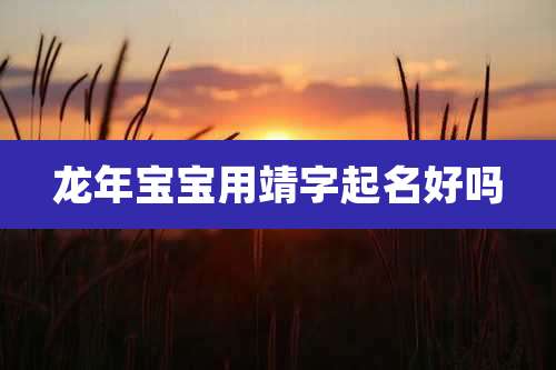 龙年宝宝用靖字起名好吗