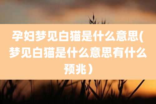孕妇梦见白猫是什么意思(梦见白猫是什么意思有什么预兆)