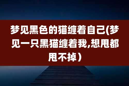 梦见黑色的猫缠着自己(梦见一只黑猫缠着我,想甩都甩不掉)