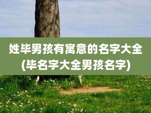 姓毕男孩有寓意的名字大全(毕名字大全男孩名字)