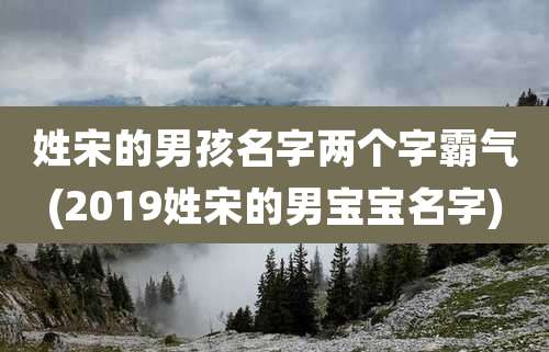姓宋的男孩名字两个字霸气(2019姓宋的男宝宝名字)