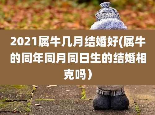 2021属牛几月结婚好(属牛的同年同月同日生的结婚相克吗)