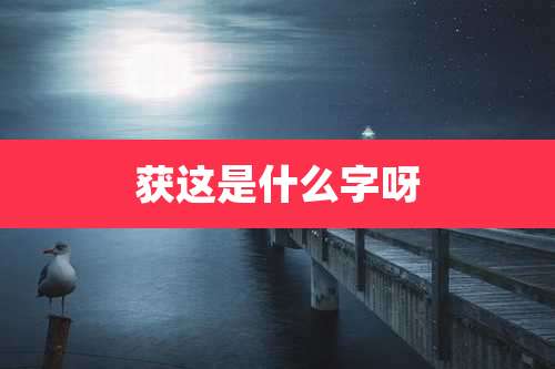 获这是什么字呀