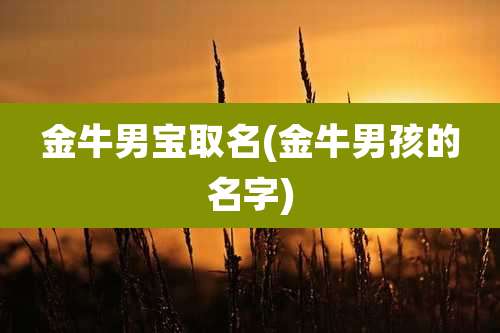 金牛男宝取名(金牛男孩的名字)