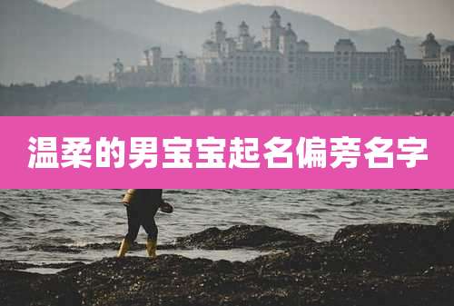 温柔的男宝宝起名偏旁名字