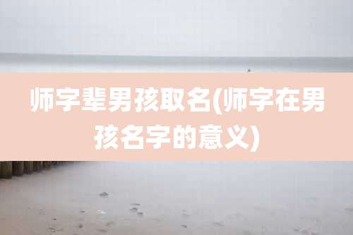 师字辈男孩取名(师字在男孩名字的意义)