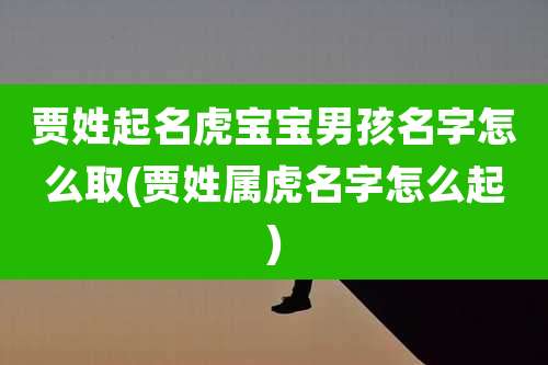 贾姓起名虎宝宝男孩名字怎么取(贾姓属虎名字怎么起)