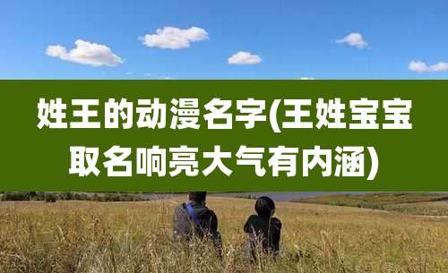 姓王的动漫名字(王姓宝宝取名响亮大气有内涵)