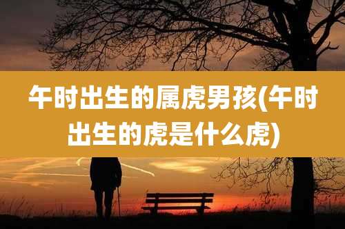 午时出生的属虎男孩(午时出生的虎是什么虎)