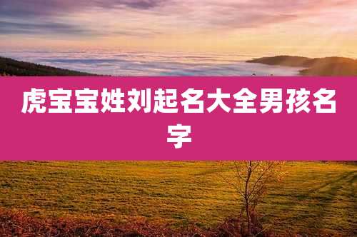 虎宝宝姓刘起名大全男孩名字