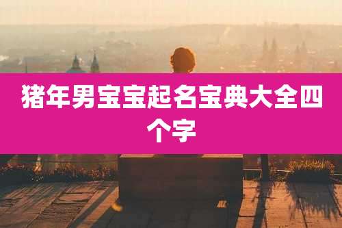 猪年男宝宝起名宝典大全四个字