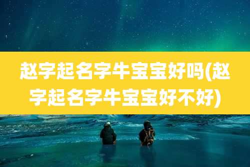 赵字起名字牛宝宝好吗(赵字起名字牛宝宝好不好)