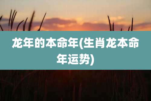 龙年的本命年(生肖龙本命年运势)