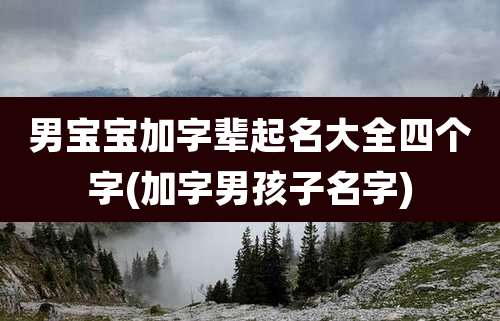 男宝宝加字辈起名大全四个字(加字男孩子名字)