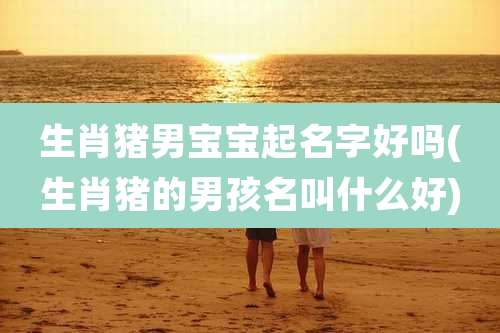 生肖猪男宝宝起名字好吗(生肖猪的男孩名叫什么好)