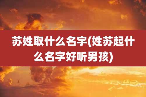 苏姓取什么名字(姓苏起什么名字好听男孩)
