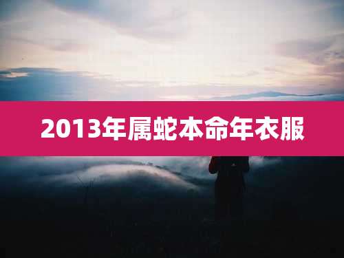 2013年属蛇本命年衣服