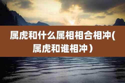属虎和什么属相相合相冲(属虎和谁相冲）