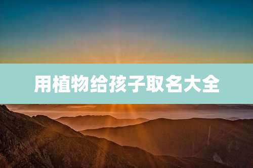 用植物给孩子取名大全
