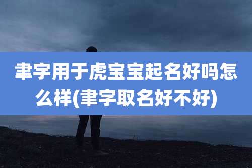 聿字用于虎宝宝起名好吗怎么样(聿字取名好不好)