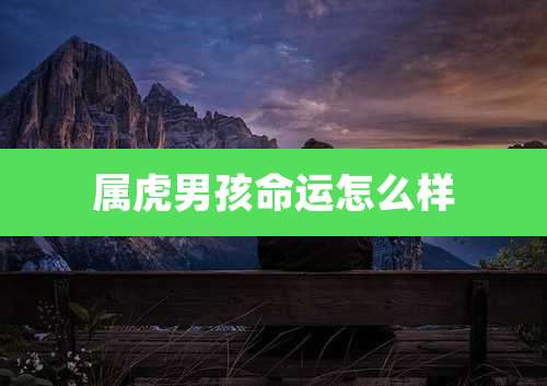 属虎男孩命运怎么样