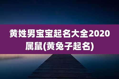 黄姓男宝宝起名大全2020属鼠(黄兔子起名)