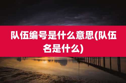 队伍编号是什么意思(队伍名是什么)