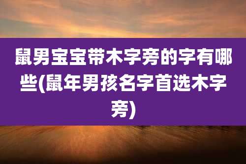 鼠男宝宝带木字旁的字有哪些(鼠年男孩名字首选木字旁)