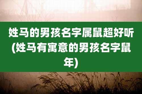 姓马的男孩名字属鼠超好听(姓马有寓意的男孩名字鼠年)