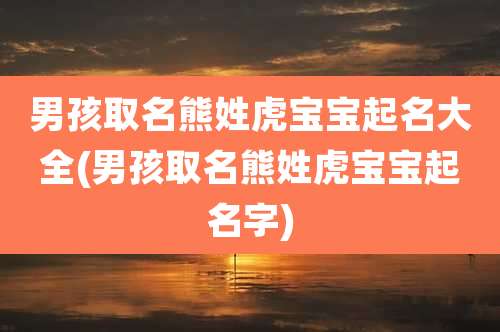 男孩取名熊姓虎宝宝起名大全(男孩取名熊姓虎宝宝起名字)