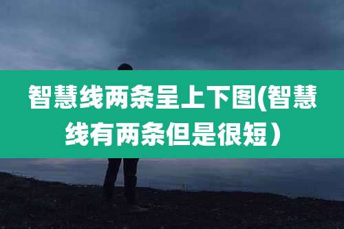 智慧线两条呈上下图(智慧线有两条但是很短）