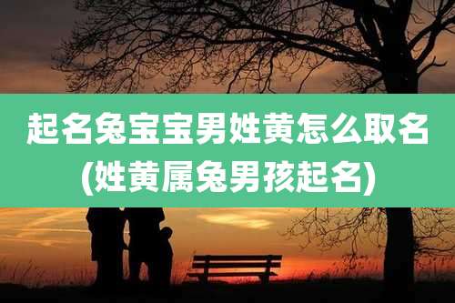 起名兔宝宝男姓黄怎么取名(姓黄属兔男孩起名)