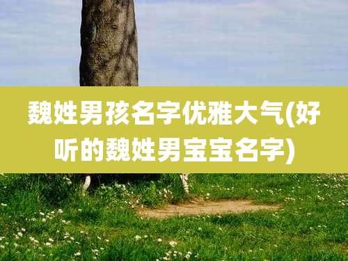魏姓男孩名字优雅大气(好听的魏姓男宝宝名字)