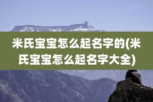 米氏宝宝怎么起名字的(米氏宝宝怎么起名字大全)