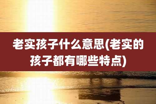 老实孩子什么意思(老实的孩子都有哪些特点)