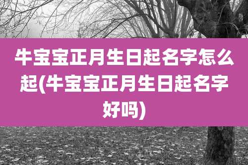 牛宝宝正月生日起名字怎么起(牛宝宝正月生日起名字好吗)