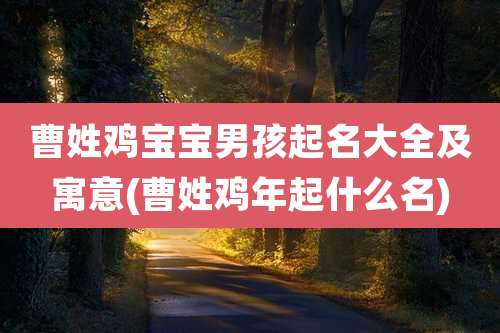 曹姓鸡宝宝男孩起名大全及寓意(曹姓鸡年起什么名)