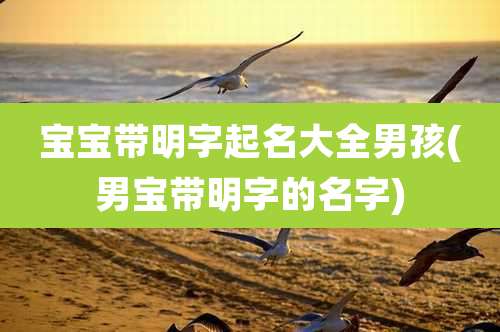 宝宝带明字起名大全男孩(男宝带明字的名字)
