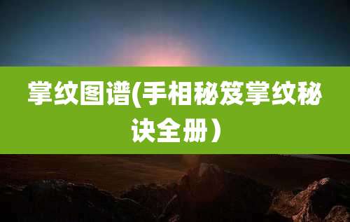 掌纹图谱(手相秘笈掌纹秘诀全册)