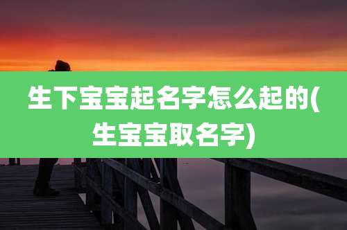 生下宝宝起名字怎么起的(生宝宝取名字)