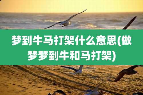 梦到牛马打架什么意思(做梦梦到牛和马打架)