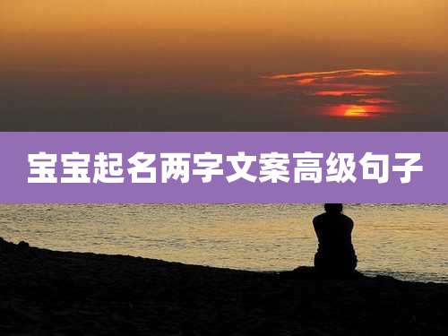 宝宝起名两字文案高级句子