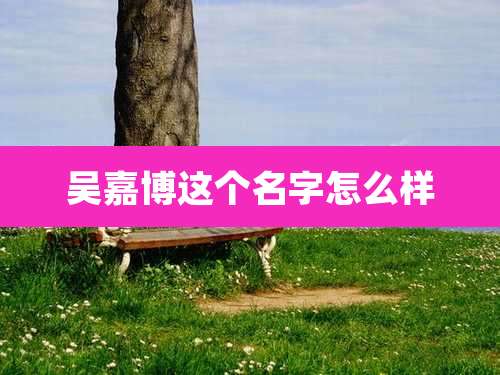 吴嘉博这个名字怎么样