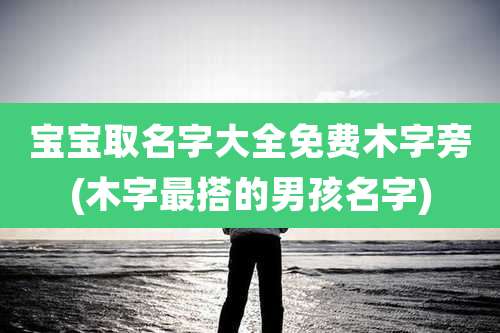 宝宝取名字大全免费木字旁(木字最搭的男孩名字)